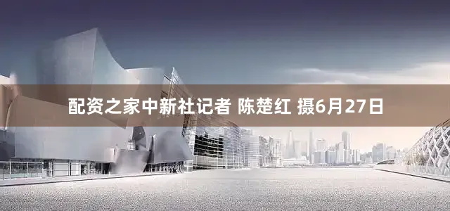 配资之家中新社记者 陈楚红 摄6月27日