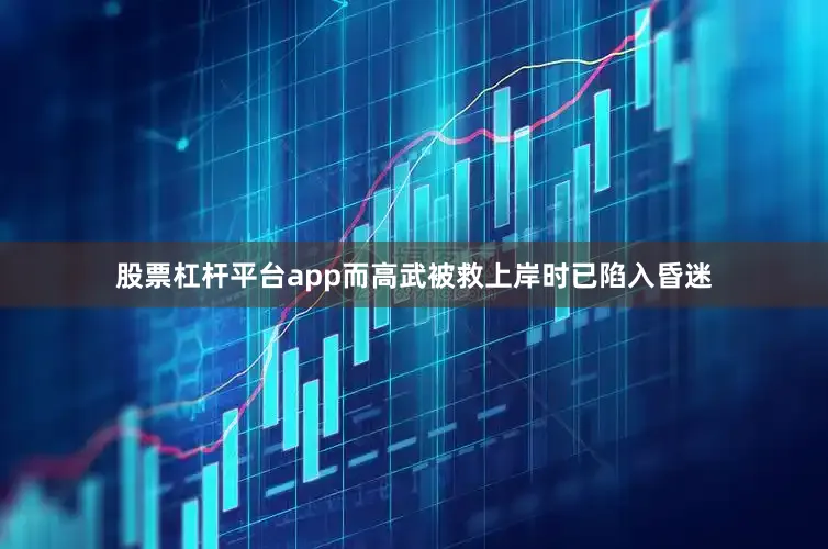 股票杠杆平台app而高武被救上岸时已陷入昏迷