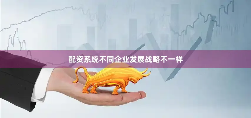 配资系统不同企业发展战略不一样