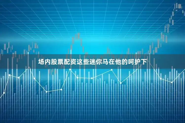 场内股票配资这些迷你马在他的呵护下