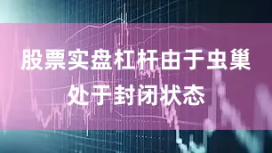 股票实盘杠杆由于虫巢处于封闭状态